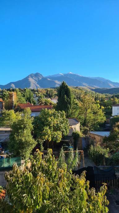 Le Cocon En Coeur De Ville Prades  Exterior photo